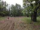 photo thumbnail #12