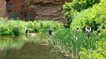 photo thumbnail #4