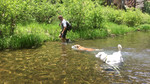 photo thumbnail #5
