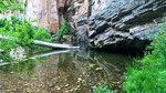 photo thumbnail #14