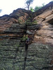 photo thumbnail #15