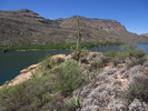 photo thumbnail #4