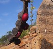 photo thumbnail #8