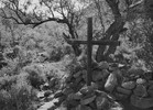 photo thumbnail #13