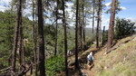 photo thumbnail #10