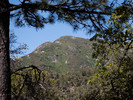 photo thumbnail #9