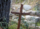 photo thumbnail #15