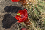 photo thumbnail #11