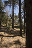 photo thumbnail #15