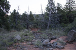 photo thumbnail #7