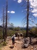 photo thumbnail #7