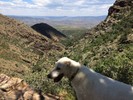 photo thumbnail #5