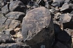 photo thumbnail #12