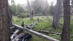 photo thumbnail #2
