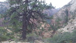 photo thumbnail #10