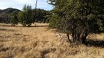 photo thumbnail #13
