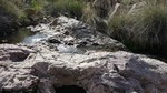 photo thumbnail #9
