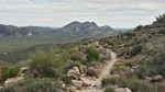 photo thumbnail #13