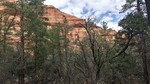 photo thumbnail #4