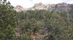 photo thumbnail #12