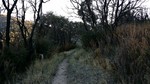 photo thumbnail #13