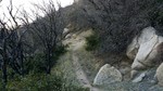 photo thumbnail #15