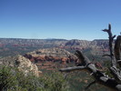 photo thumbnail #4