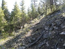 photo thumbnail #9