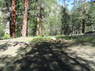 photo thumbnail #11