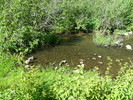 photo thumbnail #12