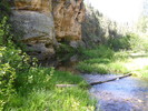 photo thumbnail #15