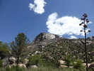photo thumbnail #8