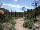 photo thumbnail #10