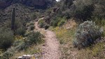 photo thumbnail #8