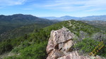 photo thumbnail #11