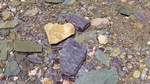 photo thumbnail #10