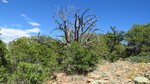 photo thumbnail #9