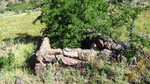 photo thumbnail #14
