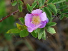 photo thumbnail #7