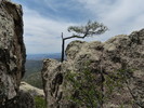photo thumbnail #3