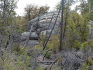 photo thumbnail #1