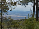 photo thumbnail #11