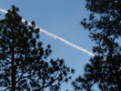photo thumbnail #13