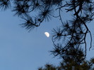 photo thumbnail #14