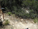 photo thumbnail #5