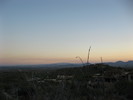 photo thumbnail #12