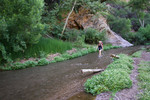 photo thumbnail #4