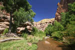 photo thumbnail #6