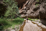photo thumbnail #13