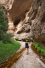 photo thumbnail #14